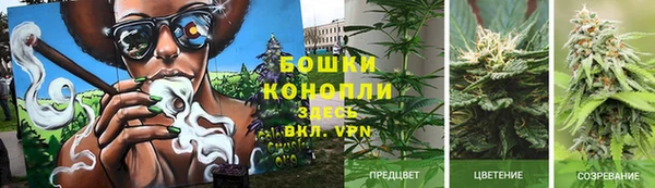 кокаин колумбия Бородино
